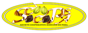 logo Scoops Socopa